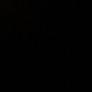 Meet your Posher, Carl